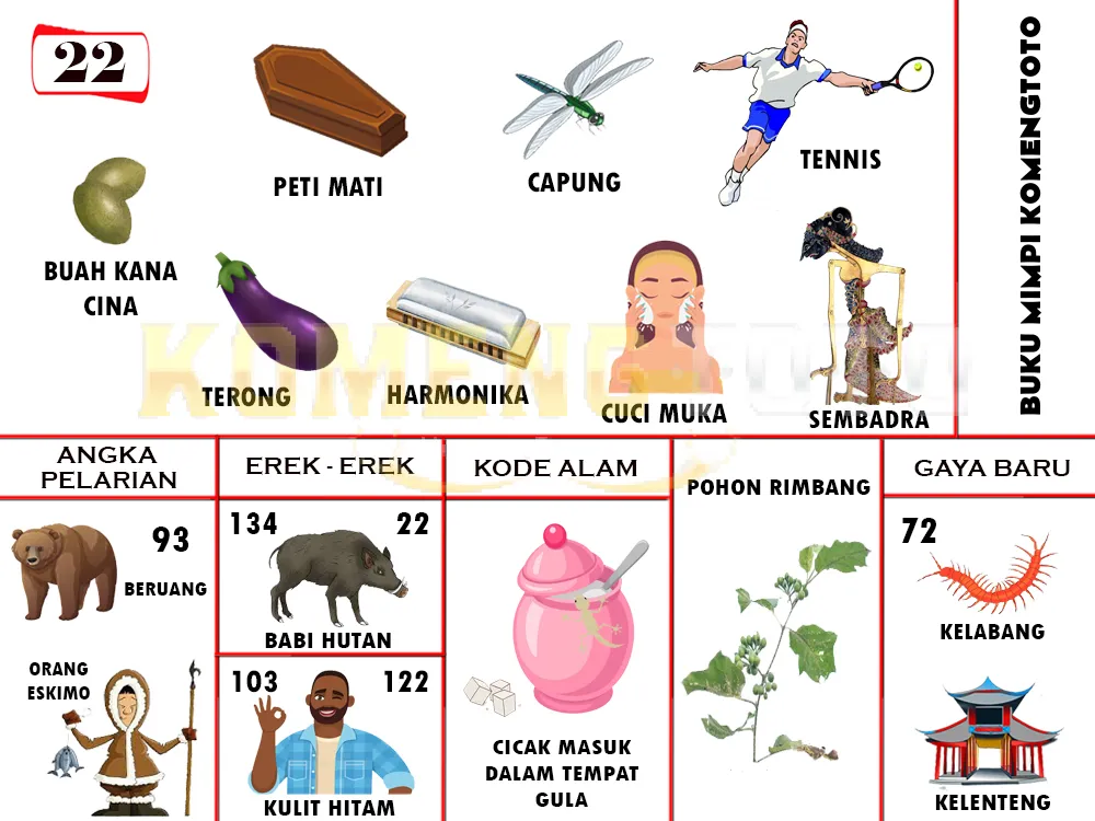 buku mimpi erek erek togel 22